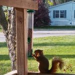 Park Meadow MHC LLC
