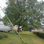 Sky View Homes LLC
