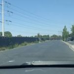 Majestic Oaks