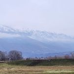 Cottonwood