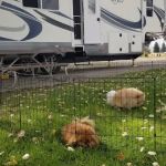 Downey City RV Park