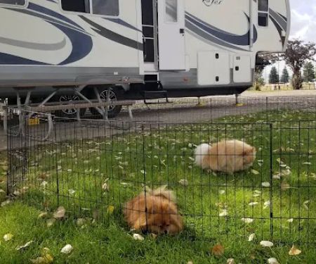 Downey City RV Park