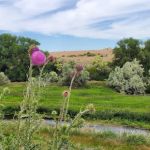 Batise Springs RV Park
