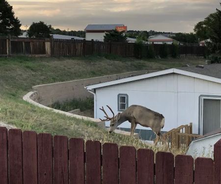 Holiday Village - Colorado