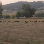 Lazy JD RV Park