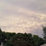 Pine Meadow Mobile Home Park