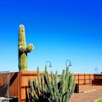 Las Colinas Motor Home-RV Resort