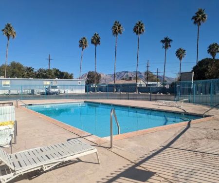 Palm Vista