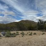 Desert Cove