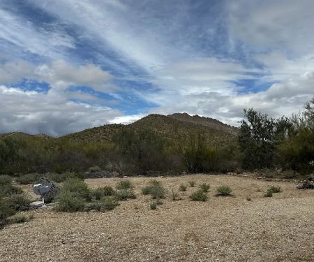 Desert Cove
