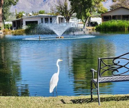 Swan Lake Estates