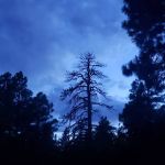 FLAGSTAFF RV PARK