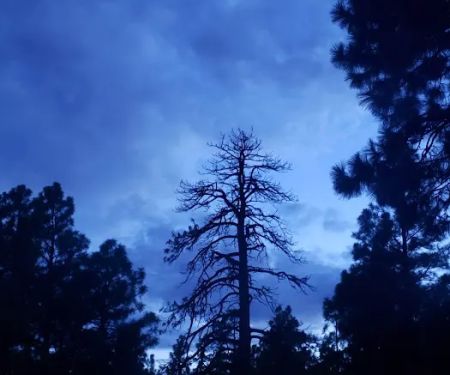 FLAGSTAFF RV PARK
