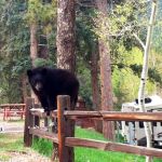 Woodland RV Park