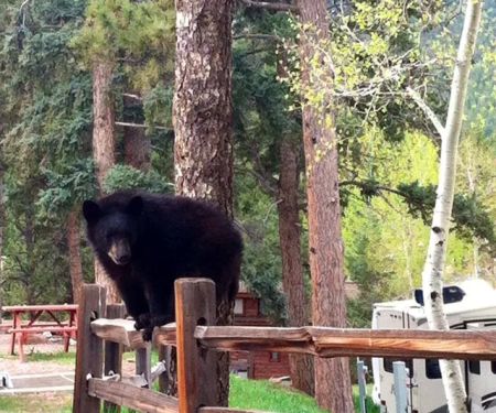 Woodland RV Park