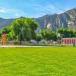 Apple Tree Park