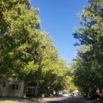 Rio-Vista Mobile Home Park