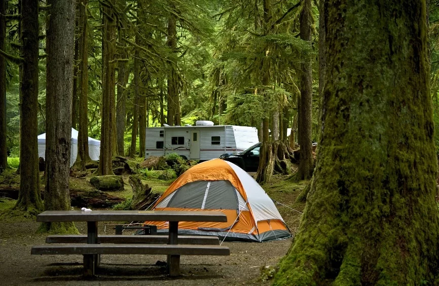 CampLog – Camping Tips, Stories & Gear | Lanikai Camp