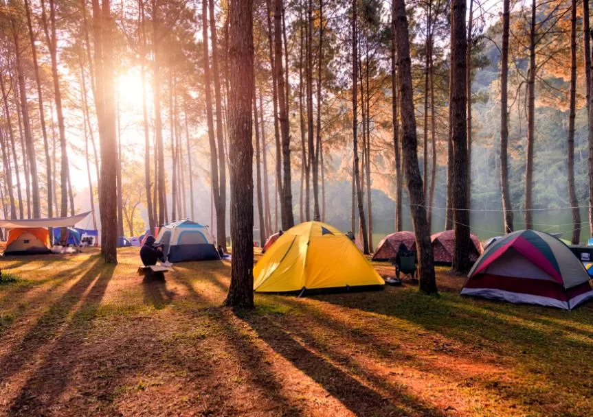 NearMe – Find Campsites Near You | Lanikai Camp