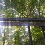 Virginia Site 10