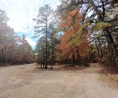 Goshen Pond Camping Area