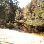 Bodine Field Campground