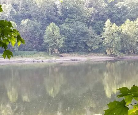 MC-2 River Campsite