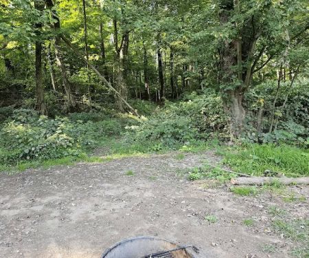 National Park Service - Delaware River - Jerry Lees - Campsites # 33-34