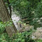 Baiting Hollow Scout Camp- Boy Scouts of America