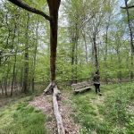 Winding Hills Park