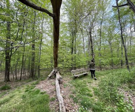Winding Hills Park