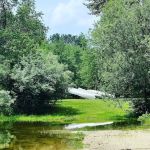 Chestnut Lake Campground