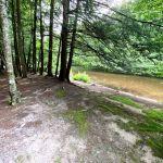 Covered Bridge Campsite
