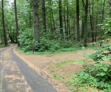 Kenneth L. Wilson Campground