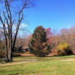 Camp Liahona