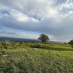 100 Mile View Camping