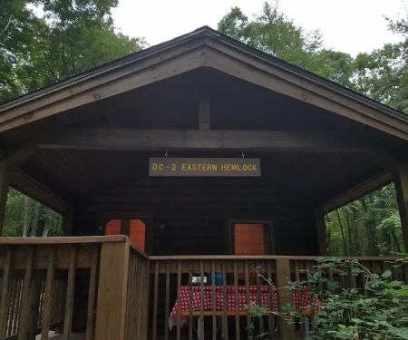 Eastern Hemlock