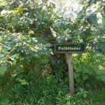 Pathfinder Campsite