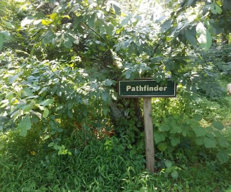 Pathfinder Campsite