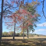 Old Stagecoach Campground