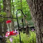 Fox Hill Camping Area