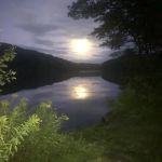 Beartown Site 7