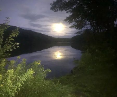 Beartown Site 7