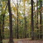 Kamp Keystone