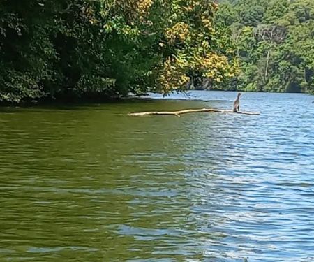 Muddy Run Park