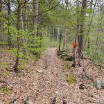 Big Spring Area