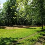 Whitetail Meadows
