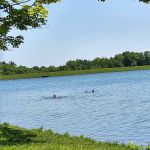 Millbrook Reservoir