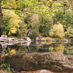 3 Acre Woodz Luxury Canvas Lodges