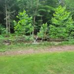 Hemlock Valley Campground